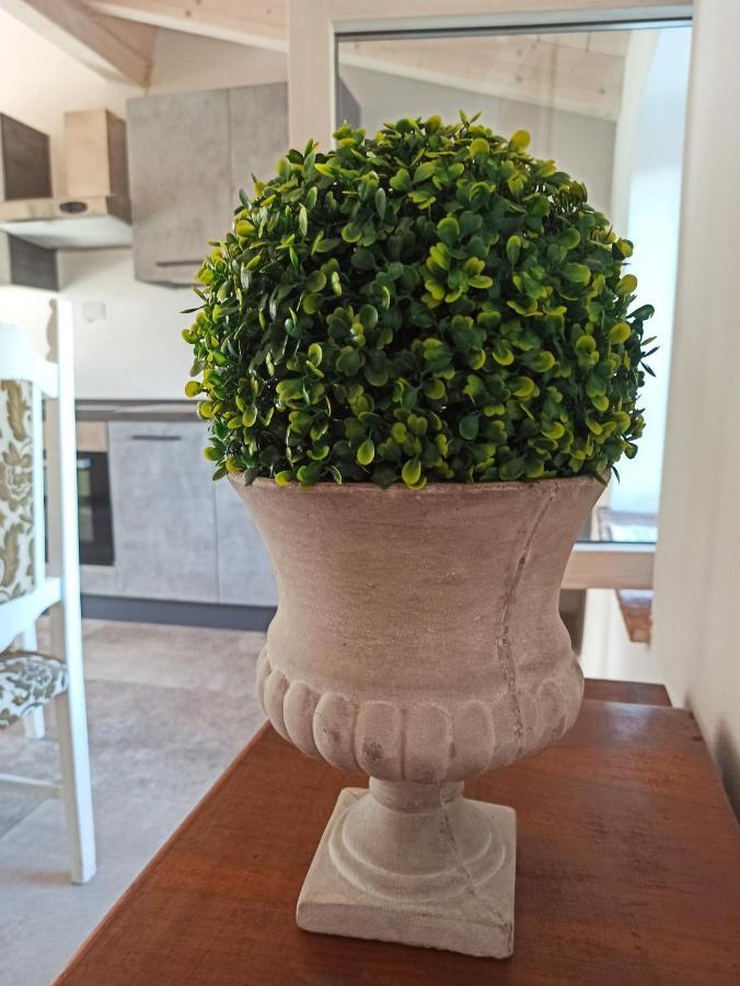 Agriturismo Podere Le Palaie Monterotondo  Bagian luar foto