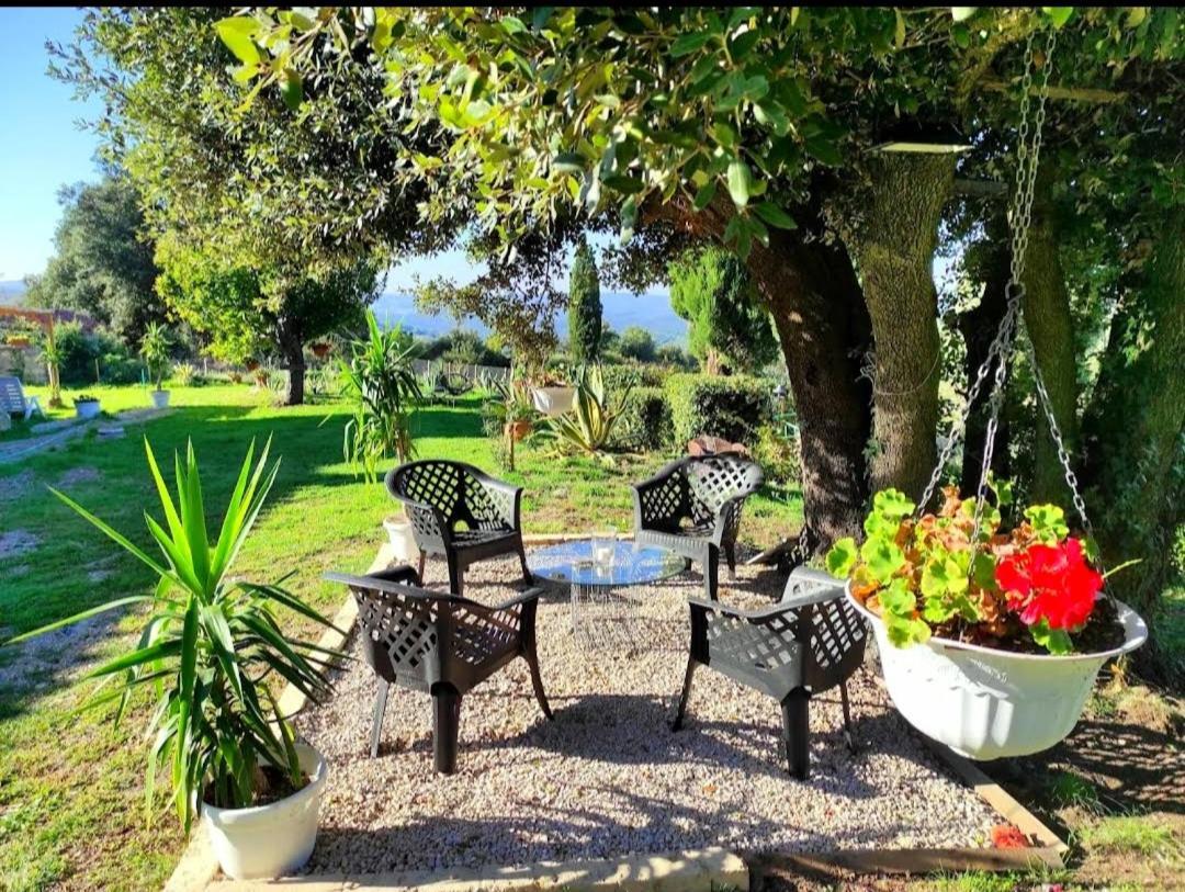 Agriturismo Podere Le Palaie Monterotondo  Bagian luar foto