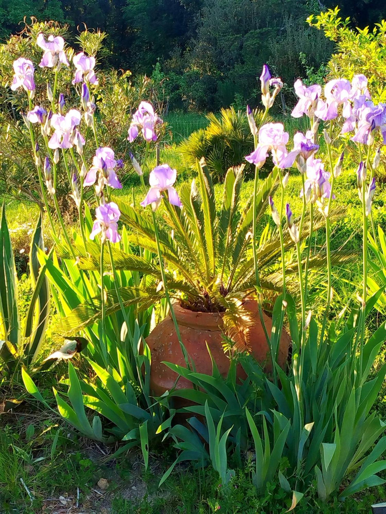 Agriturismo Podere Le Palaie Monterotondo  Bagian luar foto
